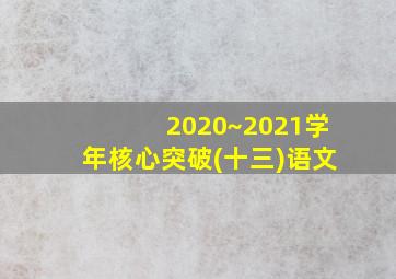 2020~2021学年核心突破(十三)语文