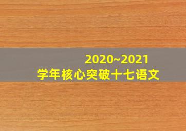 2020~2021学年核心突破十七语文