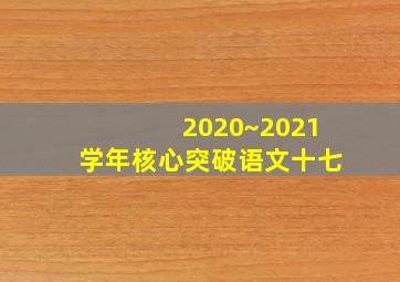 2020~2021学年核心突破语文十七