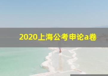 2020上海公考申论a卷