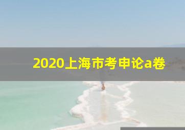 2020上海市考申论a卷