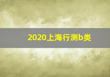 2020上海行测b类