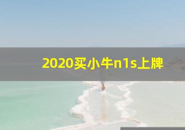 2020买小牛n1s上牌