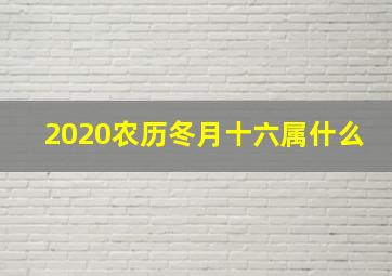 2020农历冬月十六属什么