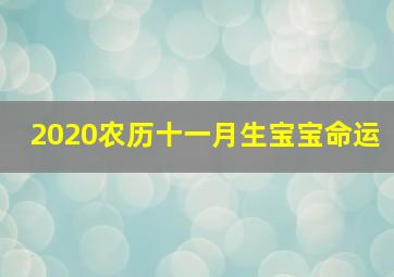 2020农历十一月生宝宝命运