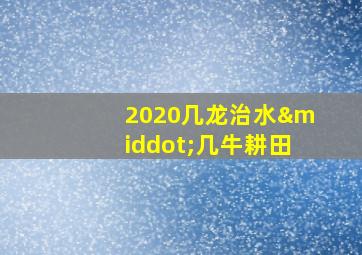 2020几龙治水·几牛耕田