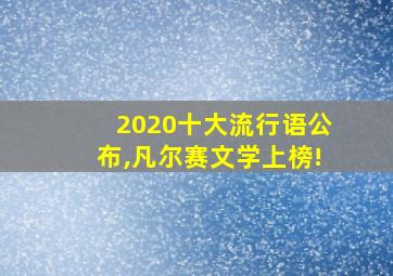 2020十大流行语公布,凡尔赛文学上榜!