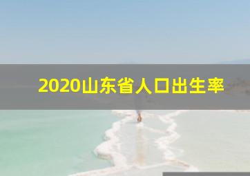 2020山东省人口出生率