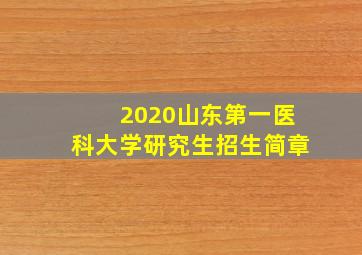 2020山东第一医科大学研究生招生简章