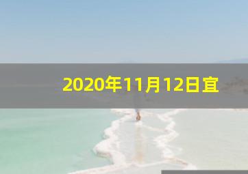 2020年11月12日宜