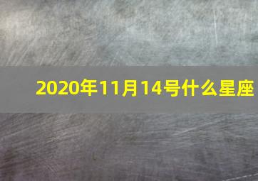 2020年11月14号什么星座