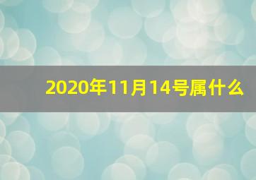 2020年11月14号属什么