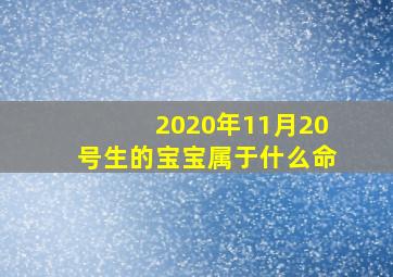 2020年11月20号生的宝宝属于什么命