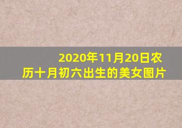 2020年11月20日农历十月初六出生的美女图片