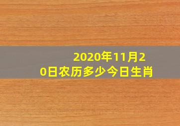 2020年11月20日农历多少今日生肖