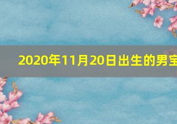 2020年11月20日出生的男宝