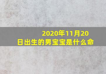 2020年11月20日出生的男宝宝是什么命