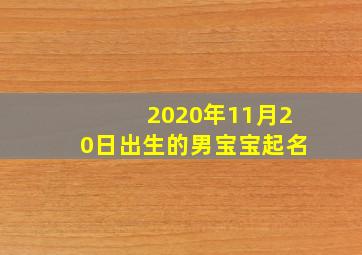 2020年11月20日出生的男宝宝起名