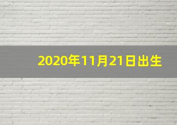 2020年11月21日出生