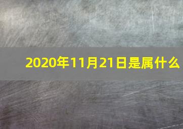 2020年11月21日是属什么