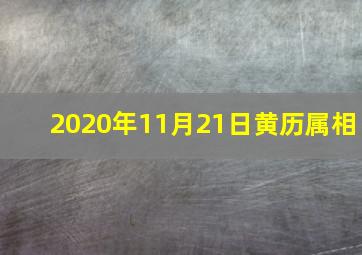 2020年11月21日黄历属相