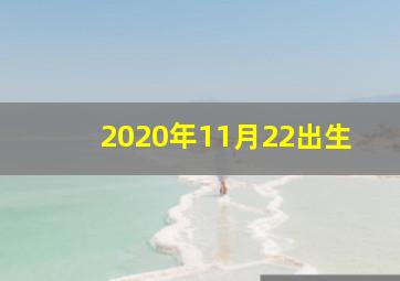 2020年11月22出生