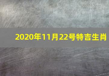 2020年11月22号特吉生肖