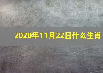 2020年11月22日什么生肖