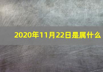 2020年11月22日是属什么