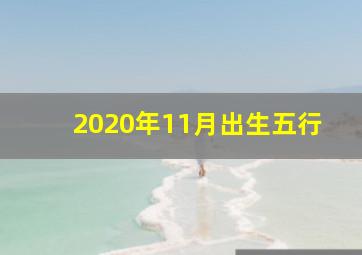 2020年11月出生五行