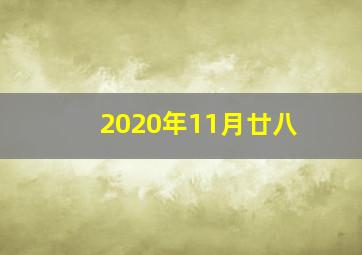 2020年11月廿八