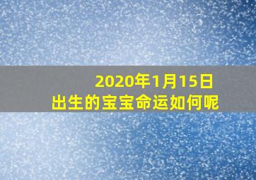 2020年1月15日出生的宝宝命运如何呢