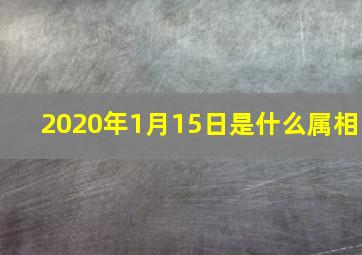 2020年1月15日是什么属相