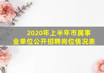 2020年上半年市属事业单位公开招聘岗位情况表