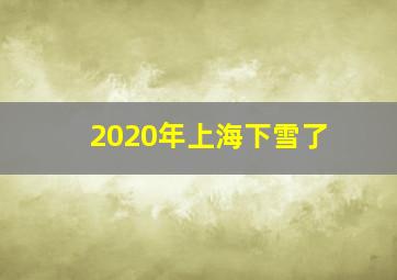 2020年上海下雪了