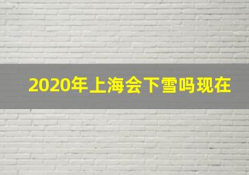 2020年上海会下雪吗现在