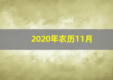 2020年农历11月