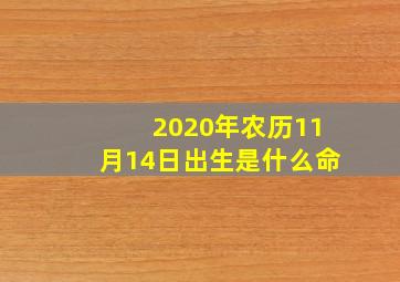 2020年农历11月14日出生是什么命