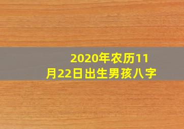 2020年农历11月22日出生男孩八字