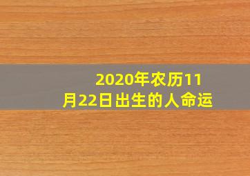 2020年农历11月22日出生的人命运