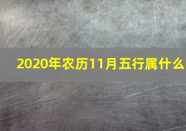 2020年农历11月五行属什么