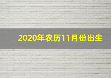 2020年农历11月份出生