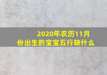 2020年农历11月份出生的宝宝五行缺什么