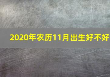 2020年农历11月出生好不好