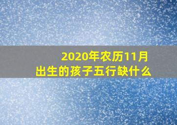 2020年农历11月出生的孩子五行缺什么