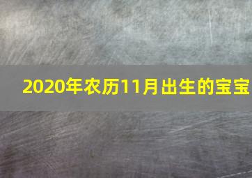 2020年农历11月出生的宝宝