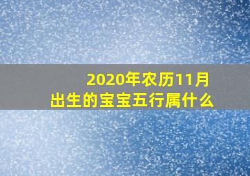 2020年农历11月出生的宝宝五行属什么