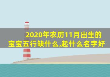 2020年农历11月出生的宝宝五行缺什么,起什么名字好