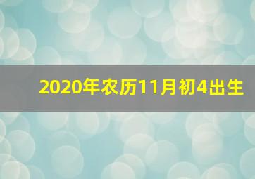 2020年农历11月初4出生