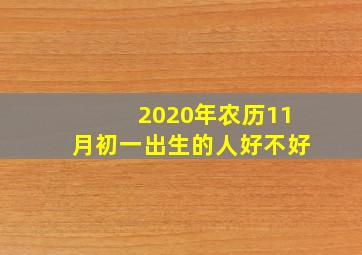 2020年农历11月初一出生的人好不好